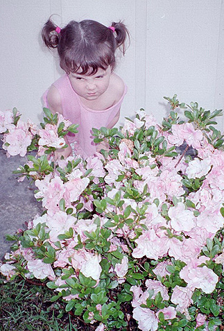 califlowers41702b.jpg