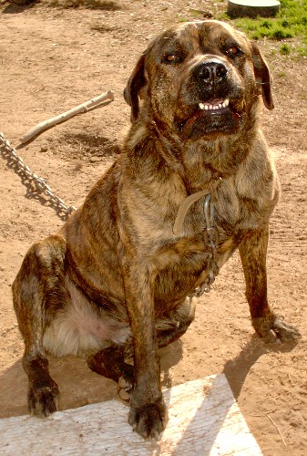max21804smile.jpg